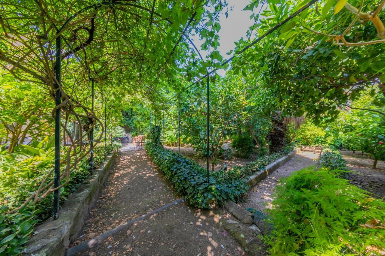 Villa Mezzarancia Palermo Dış mekan fotoğraf
