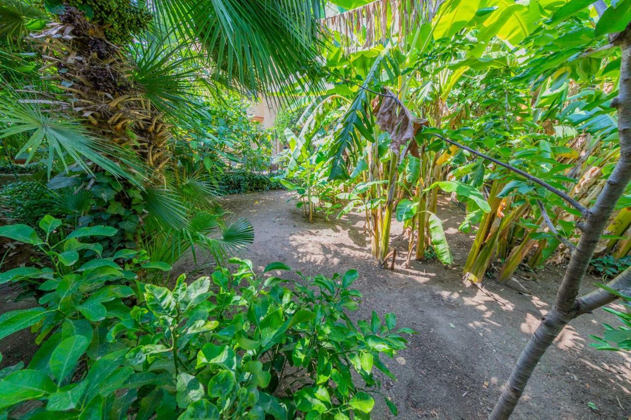 Villa Mezzarancia Palermo Dış mekan fotoğraf